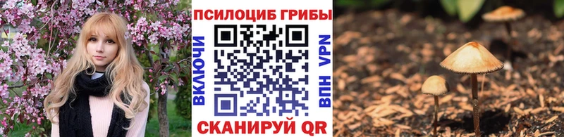 даркнет сайт  OMG как зайти  darknet наркотические препараты  Каспийск  Псилоцибиновые грибы GOLDEN TEACHER 
